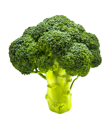 florete brocoli