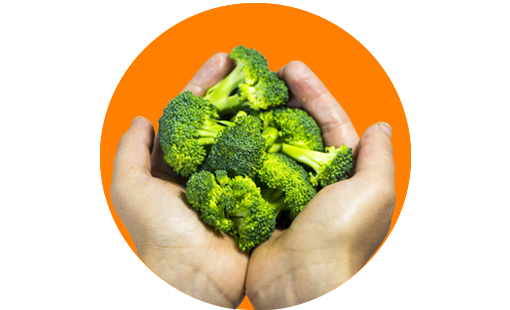 florete brocoli