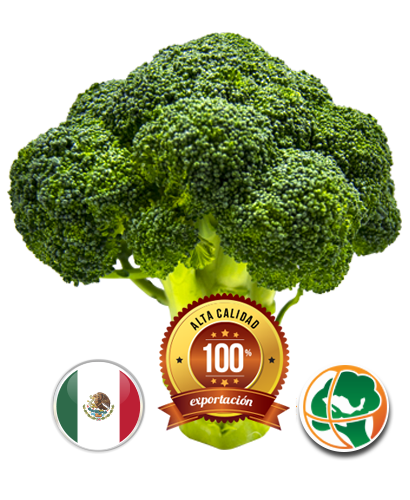 brocoli