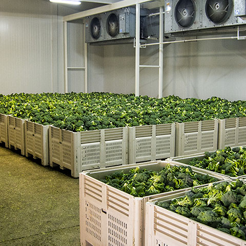 instalaciones expofresh