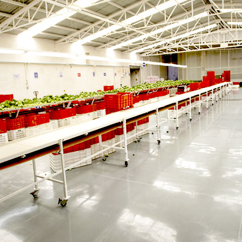 instalaciones expofresh